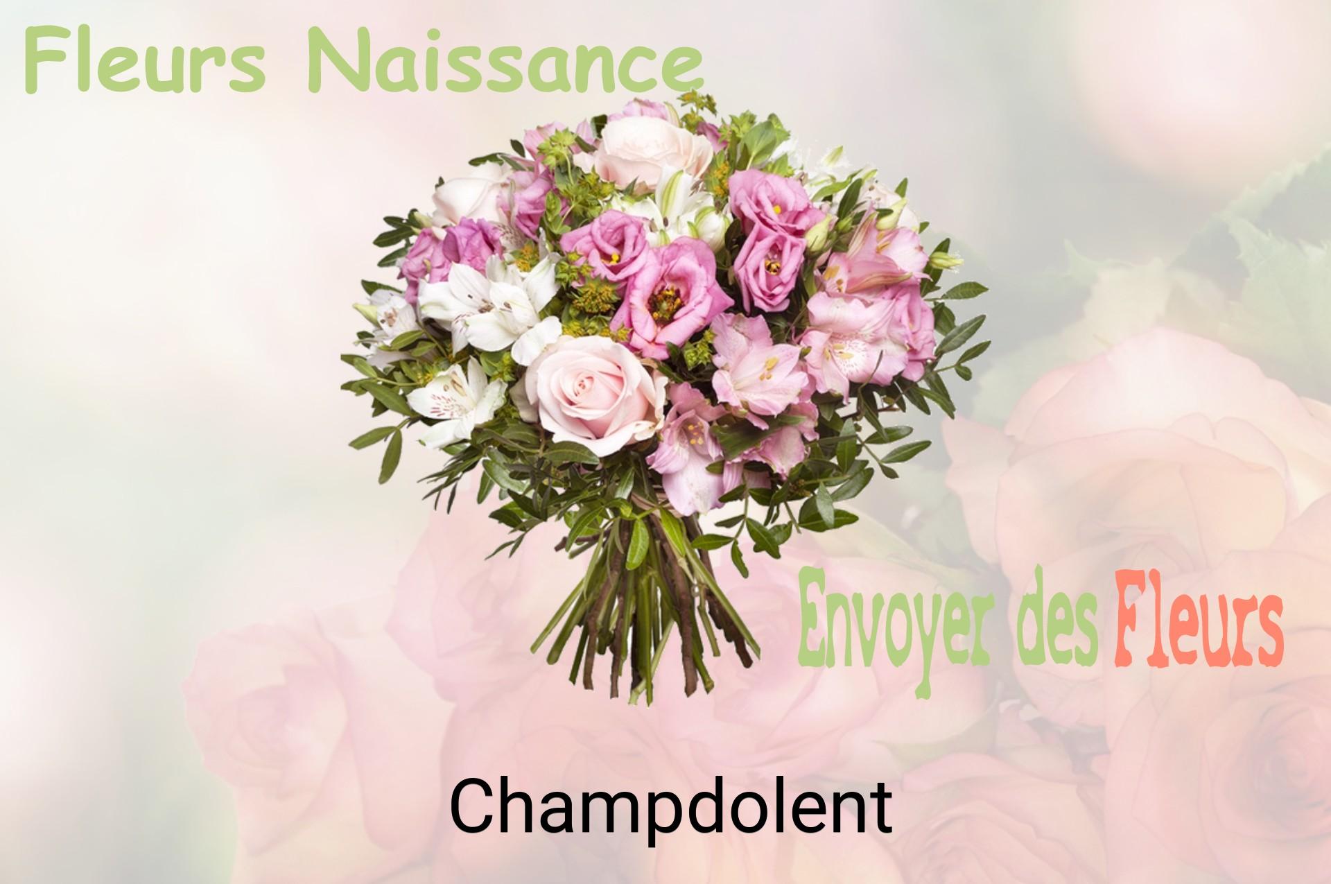 Bouquet de fleurs de naissance livré à Champdolent